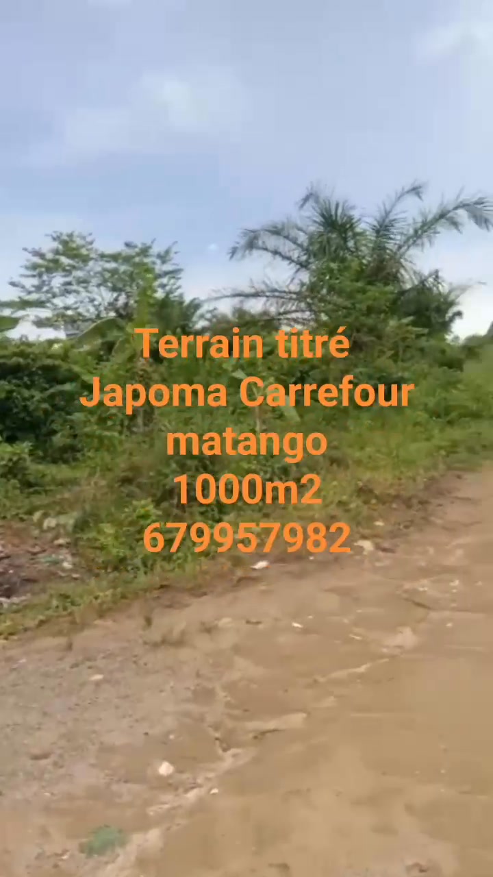 TERRAIN A VENDRE, Yassa ( carrefour matango)