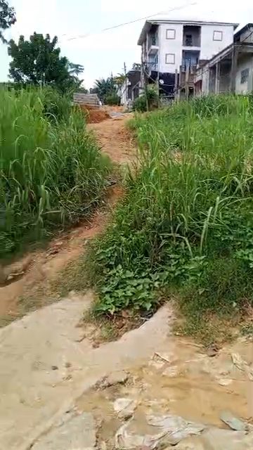 Terrain a vendre ( logbessou), Logbessou
